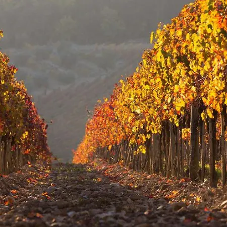 Prázdninový dům Cerretino Oliveto By Interhome Castellina in Chianti